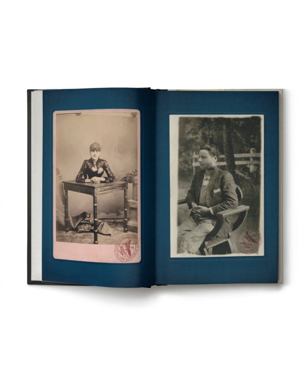 Собрание птиц