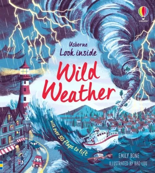 Usborne Look Inside Wild Weather