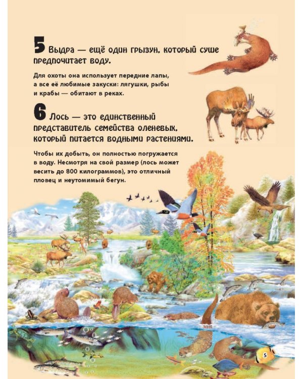 Животные морей и рек