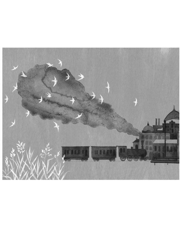 Лето в Михалувке. Лето в Вильгельмувке