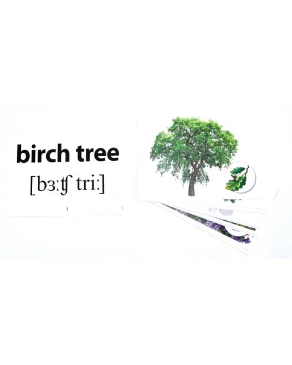 Цветы, деревья, кусты. 25 карточек с транскрипцией на обороте
