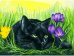 Живопись на картоне. Кот и крокусы, 30x40 см