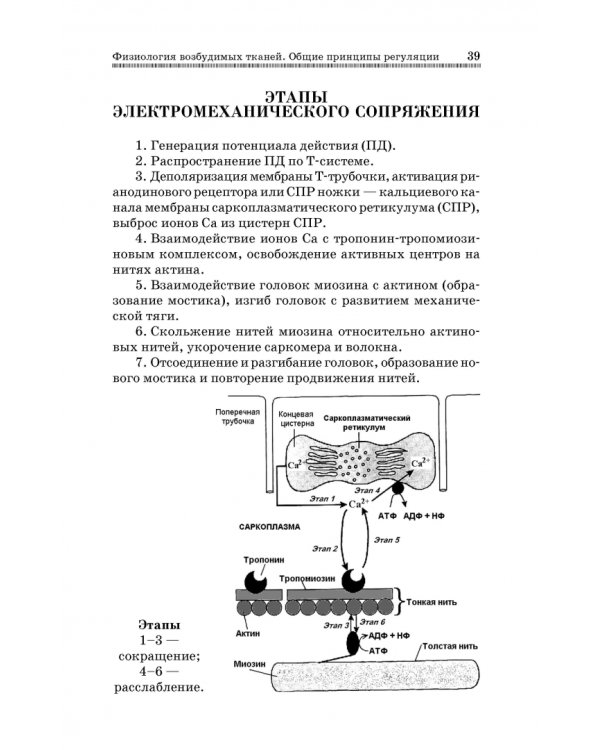 Анатомия и физиология человека в схемах и таблицах. Учебное пособие