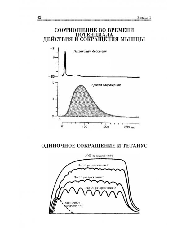 Анатомия и физиология человека в схемах и таблицах. Учебное пособие