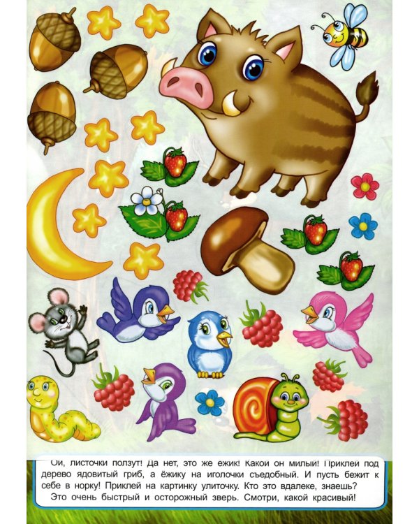 Мои лесные прогулки. Книжка с многоразовыми наклейками