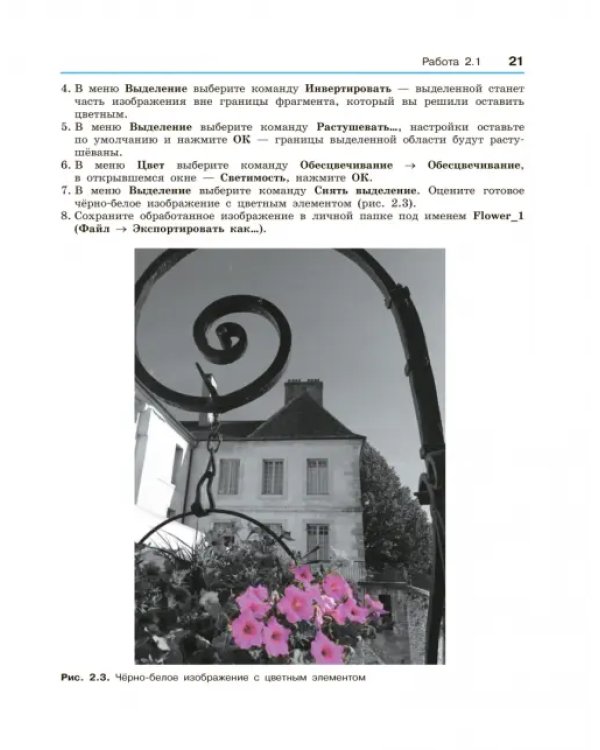 Информатика. 10-11 классы. Базовый уровень. Компьютерный практикум. ФГОС
