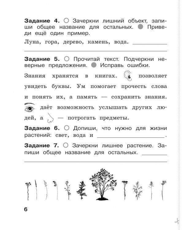 Окружающий мир. 1 класс. Итоговые работы