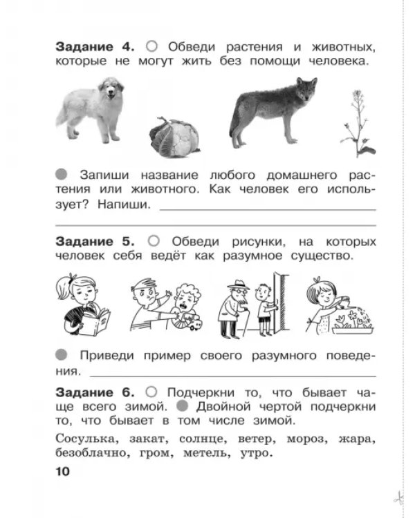 Окружающий мир. 1 класс. Итоговые работы