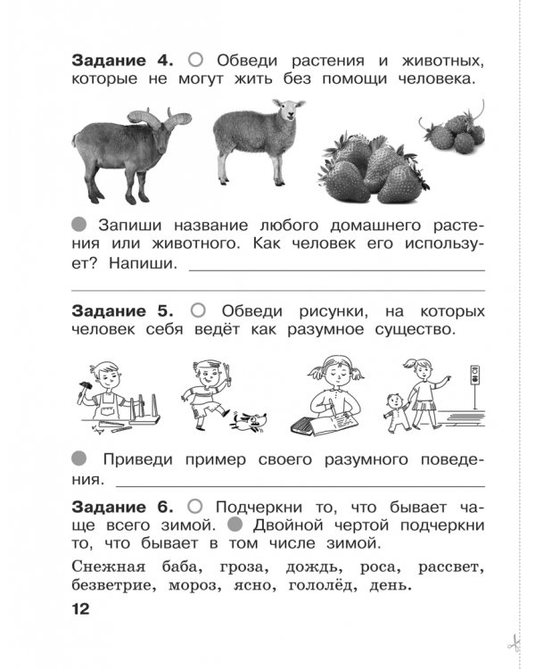 Окружающий мир. 1 класс. Итоговые работы