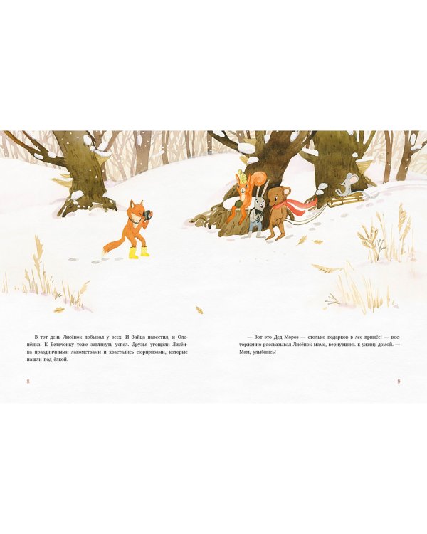 Подарок для Деда Мороза