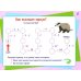 Математический счет для любознаек. От 0 до 100. Четвертый уровень. Книга с мобильным приложением