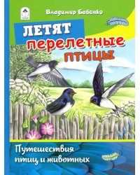 Летят перелётные птицы