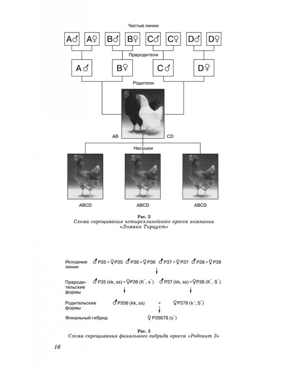Технология производства яиц и мяса птицы на промышленной основе. Учебное пособие