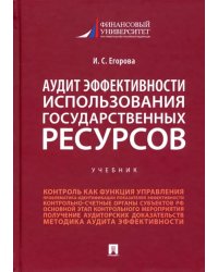Аудит эффективности использования государственных ресурсов. Учебник