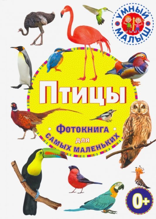 Умный малыш Птицы. Фотокнига для самых маленьких
