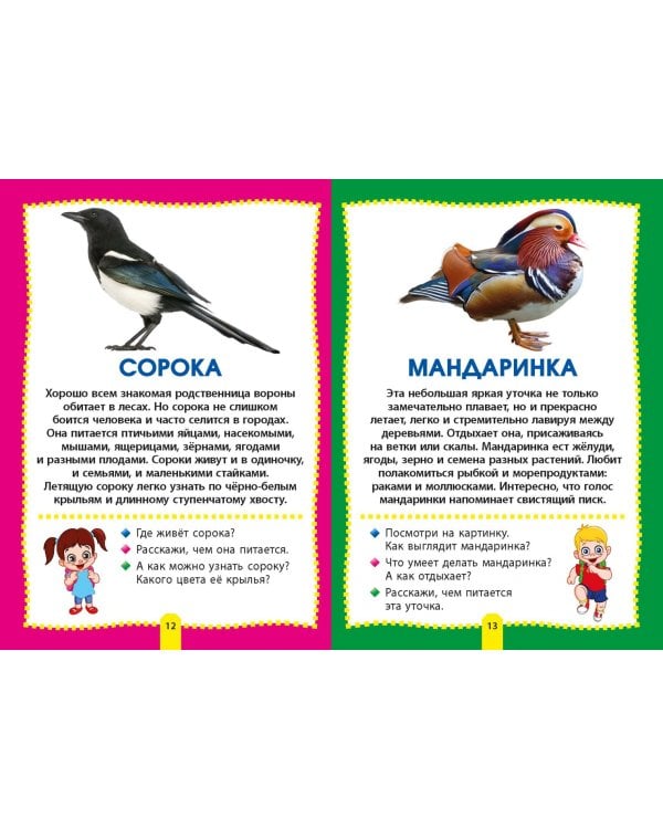 Птицы. Фотокнига для самых маленьких