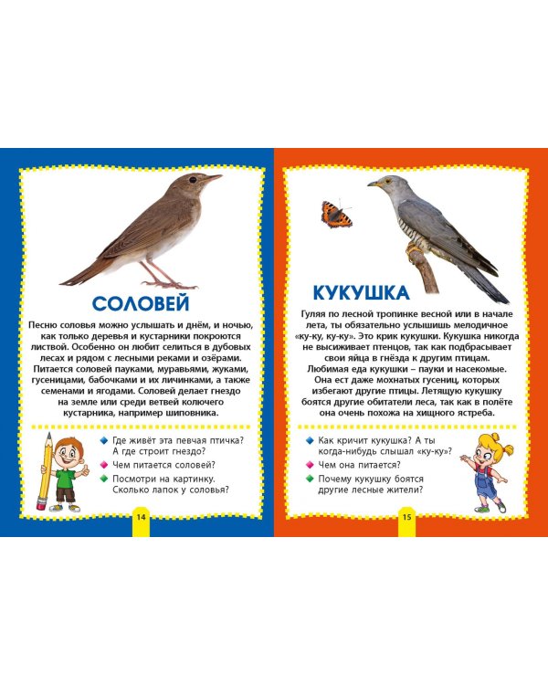 Птицы. Фотокнига для самых маленьких