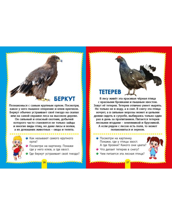 Птицы. Фотокнига для самых маленьких