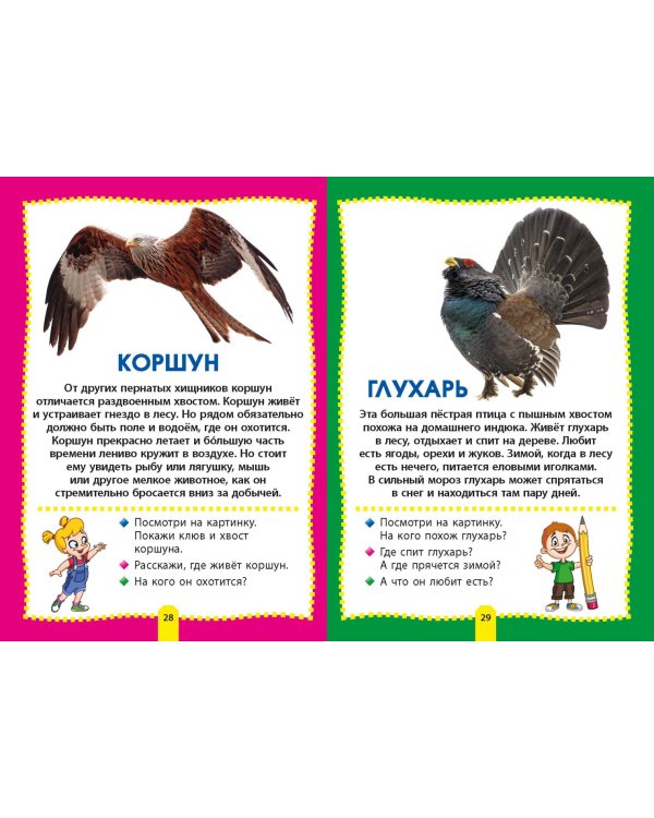 Птицы. Фотокнига для самых маленьких