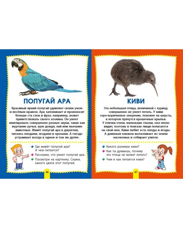 Птицы. Фотокнига для самых маленьких