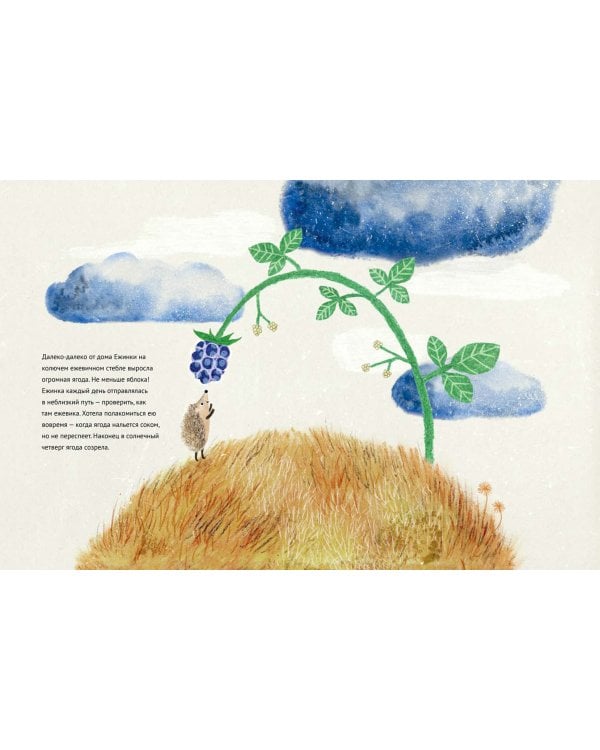 Маленькая Ежинка и большая ежевика