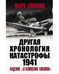 ДРУГАЯ хронология катастрофы 1941. Падение «сталинских соколов»