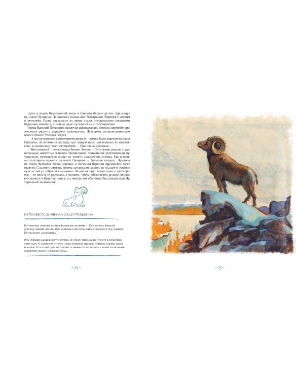 Сказки Плато Путорана. Заповедные истории Саши Прошкина