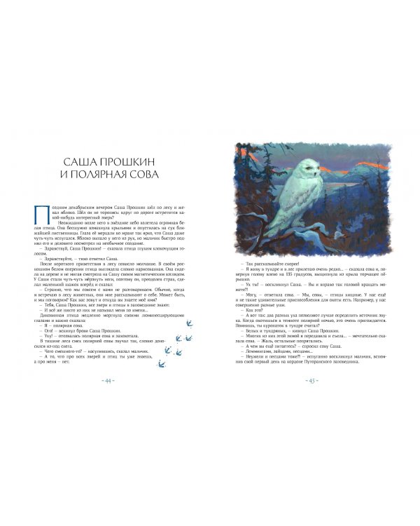 Сказки Плато Путорана. Заповедные истории Саши Прошкина