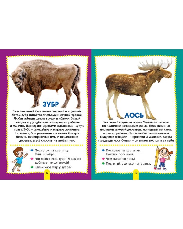 Лесные животные. Фотокнига для самых маленьких