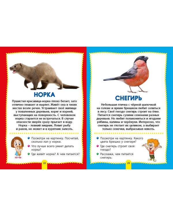 Лесные животные. Фотокнига для самых маленьких