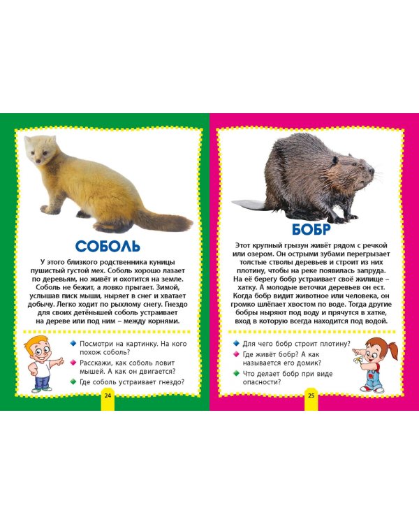 Лесные животные. Фотокнига для самых маленьких