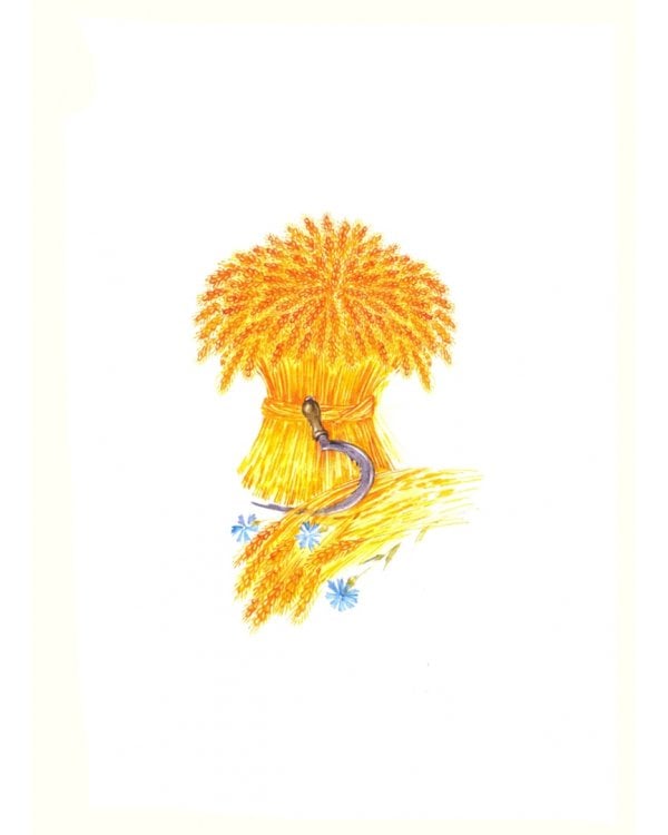 Конек-Горбунок