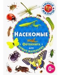 Насекомые. Фотокнига для самых маленьких