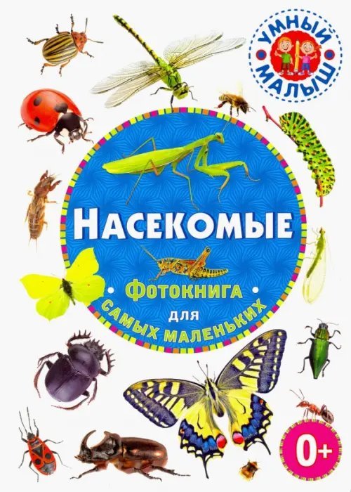 Умный малыш Насекомые. Фотокнига для самых маленьких