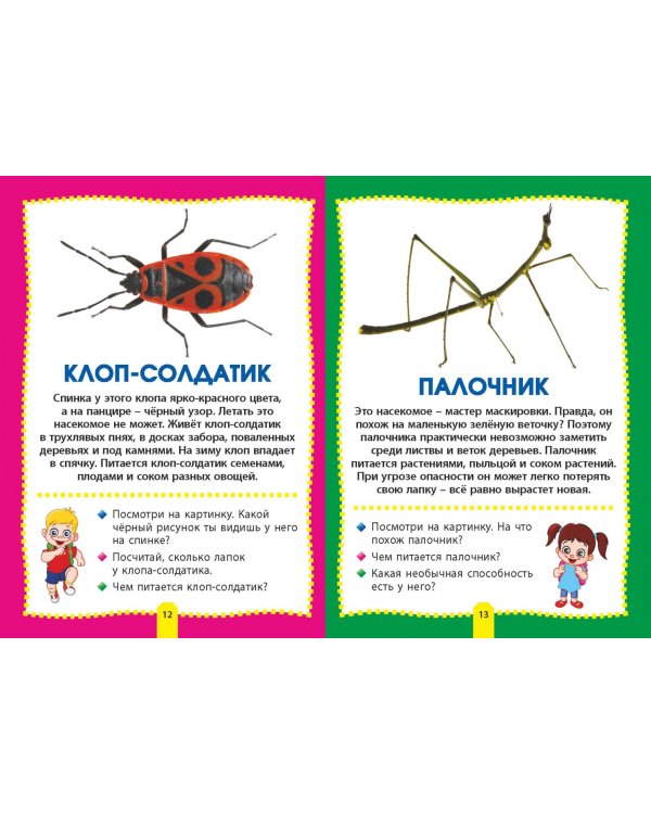 Насекомые. Фотокнига для самых маленьких