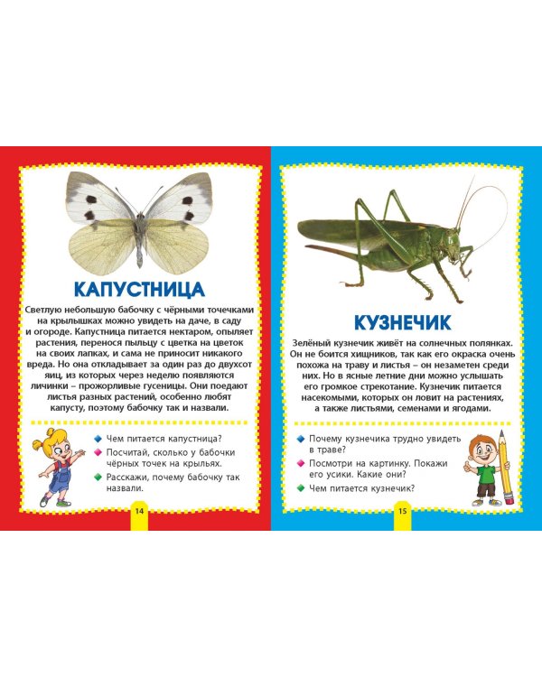 Насекомые. Фотокнига для самых маленьких