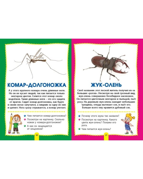 Насекомые. Фотокнига для самых маленьких