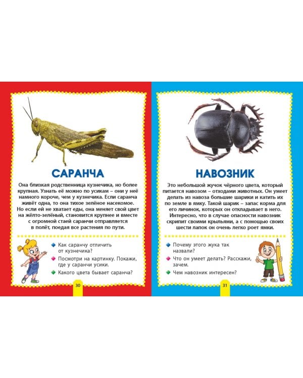 Насекомые. Фотокнига для самых маленьких