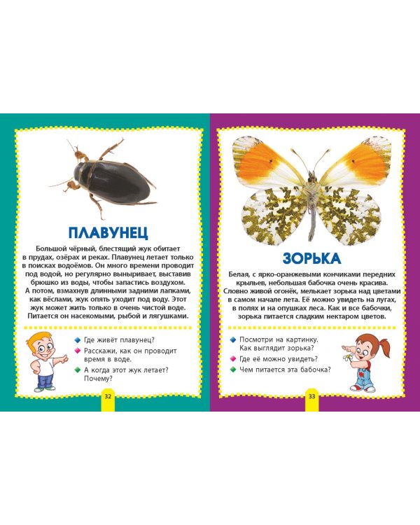 Насекомые. Фотокнига для самых маленьких