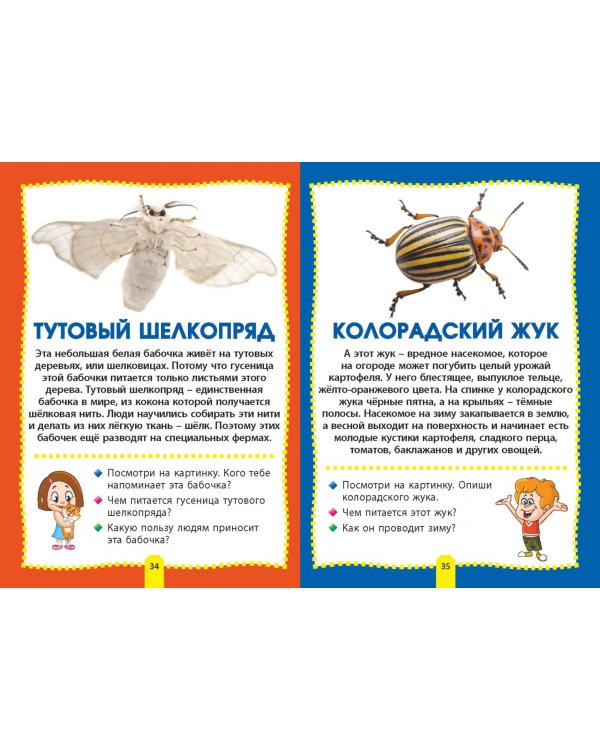 Насекомые. Фотокнига для самых маленьких