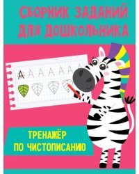 Тренажер по чистописанию
