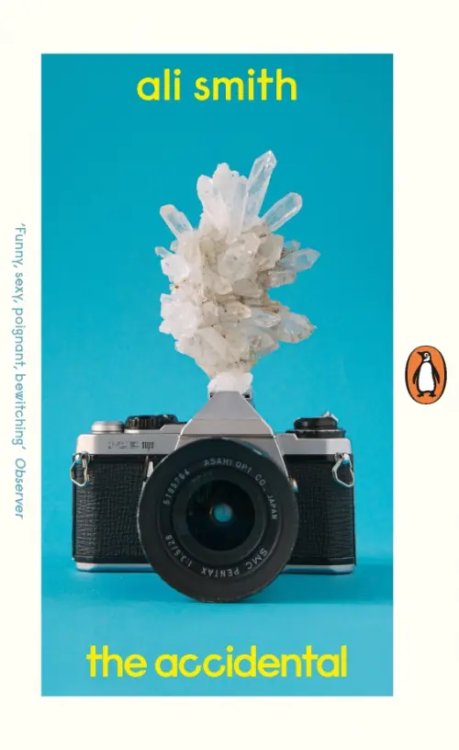 Penguin Essentials The Accidental