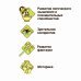 Японские опыты. Науки с Буки. Солнечная система
