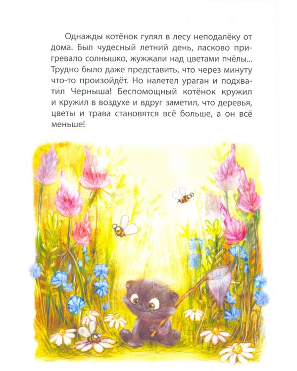 Страна Грязляндия