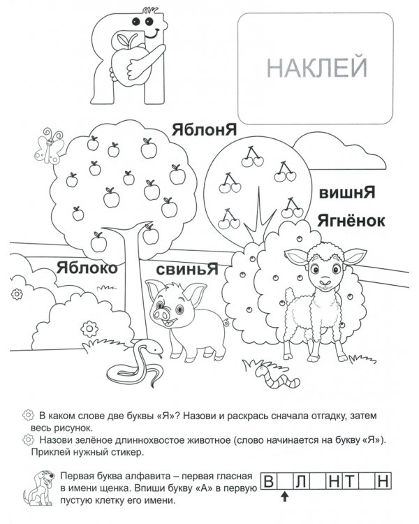 Цветные гласные. Азбука в наклейках и раскрасках