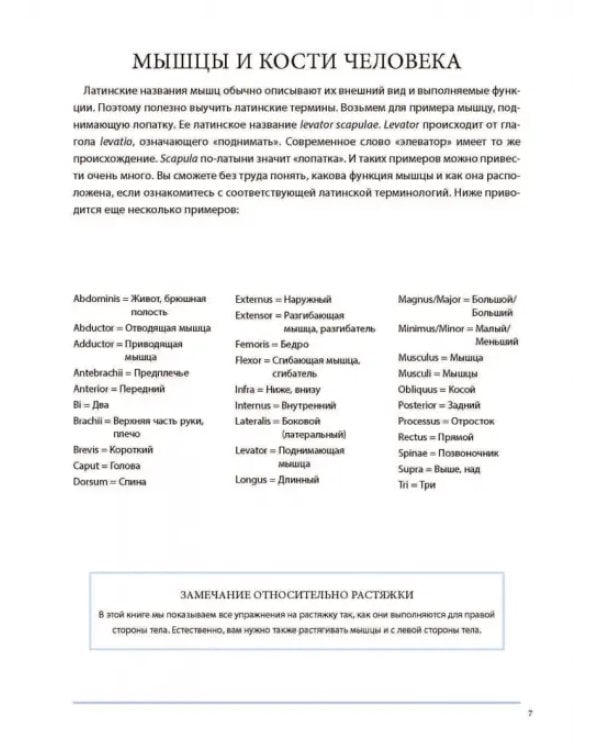 Анатомия лечебной растяжки. Быстрое избавление от боли и профилактика травм
