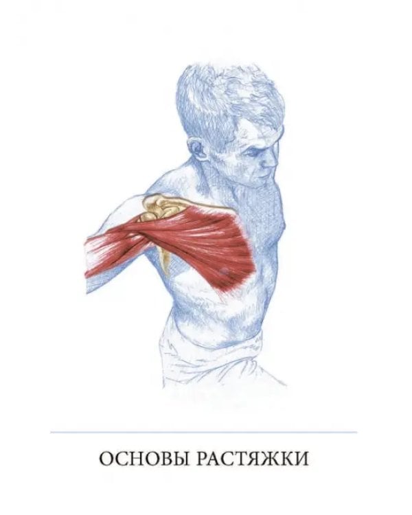 Анатомия лечебной растяжки. Быстрое избавление от боли и профилактика травм
