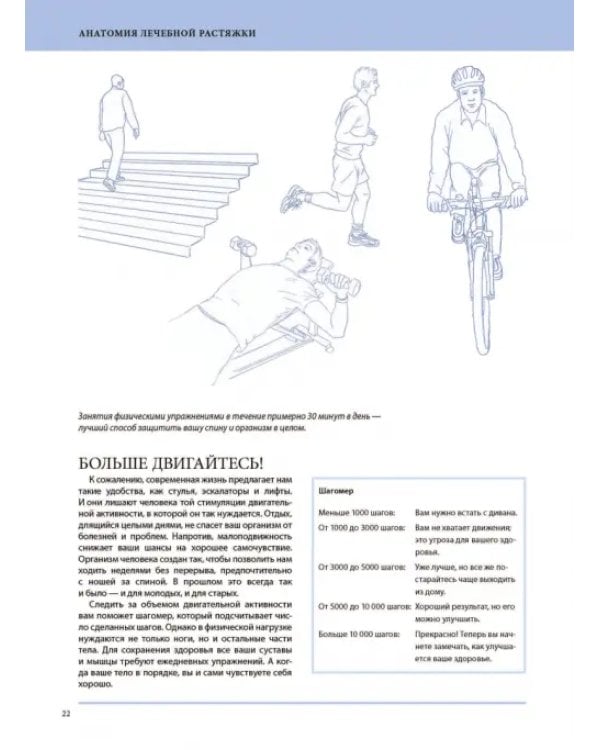 Анатомия лечебной растяжки. Быстрое избавление от боли и профилактика травм