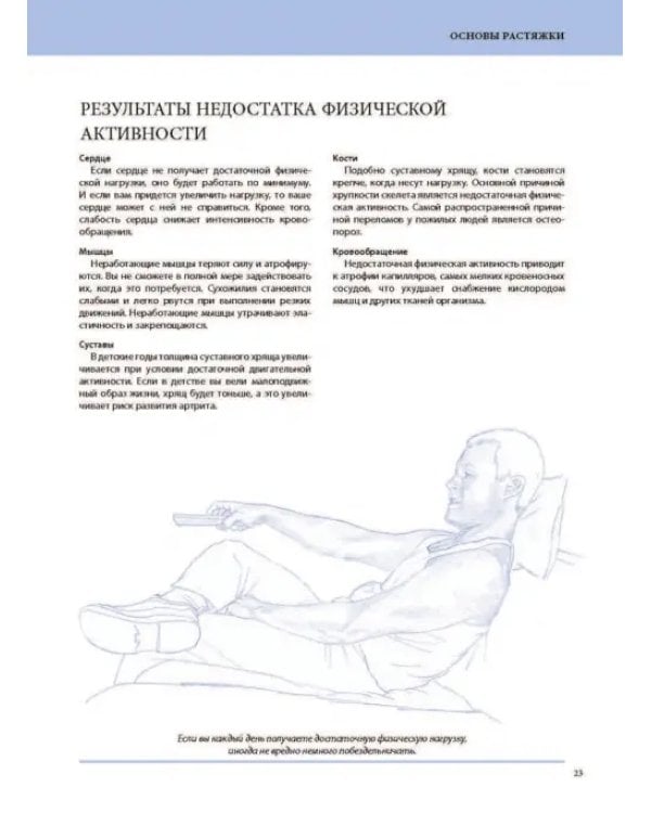 Анатомия лечебной растяжки. Быстрое избавление от боли и профилактика травм