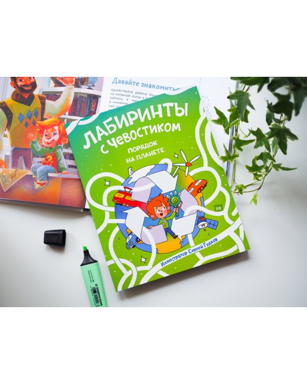 Лабиринты с Чевостиком. Порядок на планете
